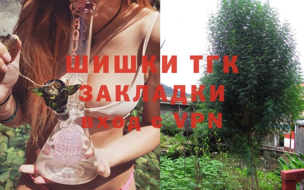 гашик Пересвет