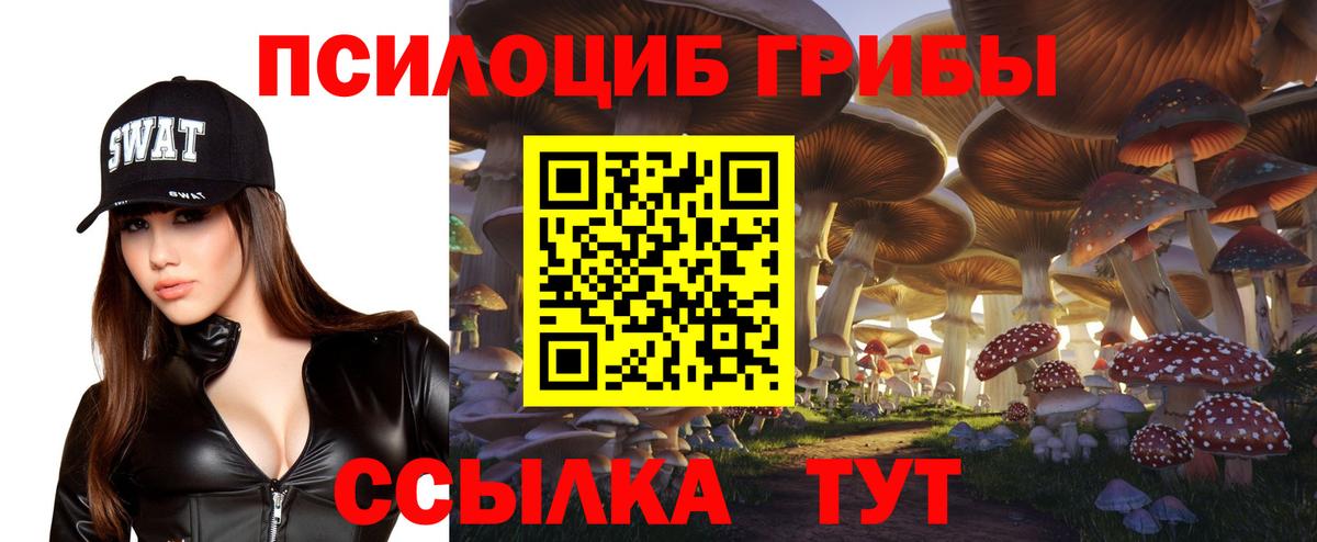 Псилоцибиновые грибы MAGIC MUSHROOMS  Галлюциногенные грибы Magic Shrooms  Петровск  Вход с VPN 